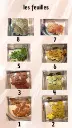 IMG-20250413-WA0009.webp