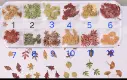 Les feuilles