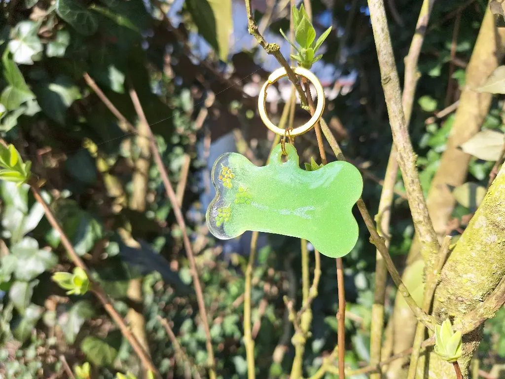 Médaille Raisin Doré