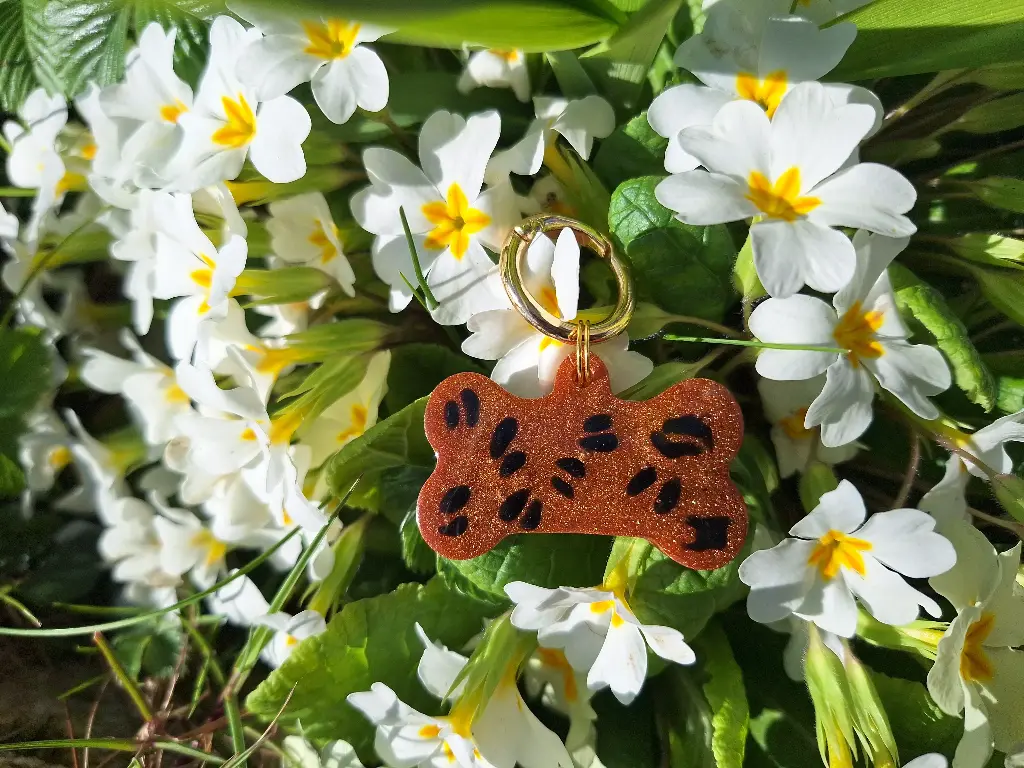 Médaille Os Léopard 