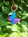 Papillon Violine