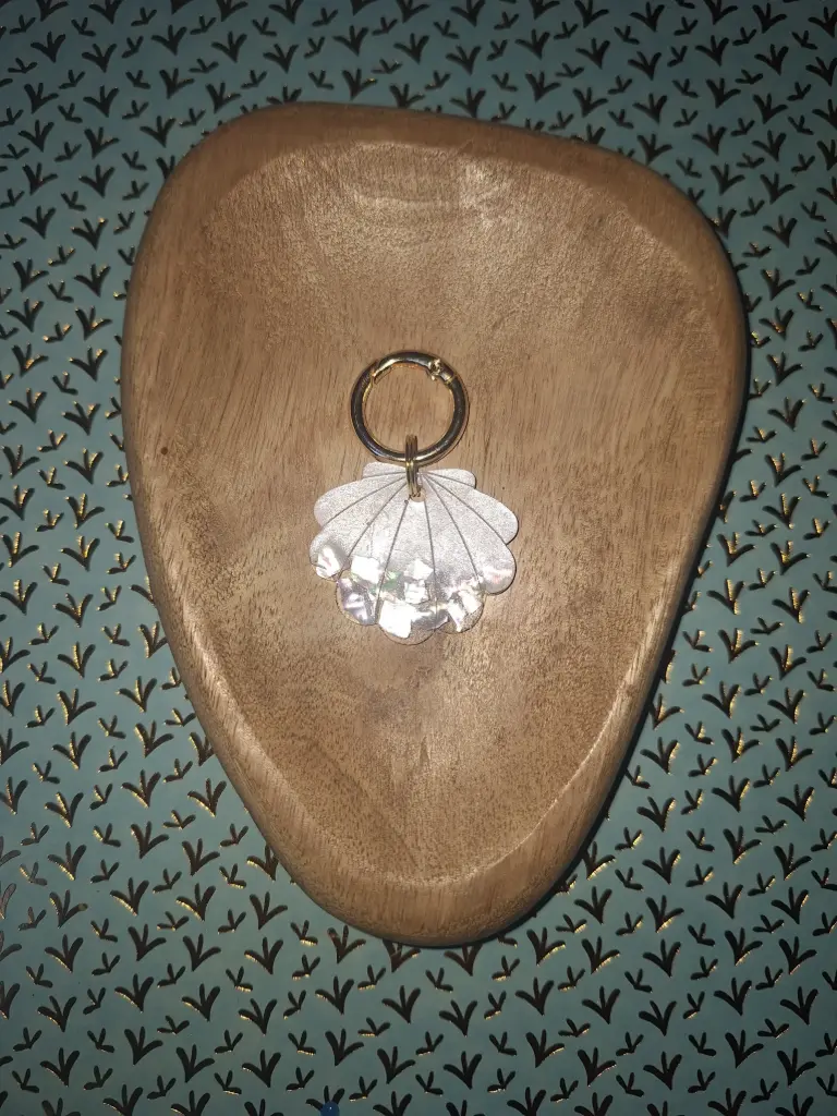 Coquillage Nacré🐚🤍