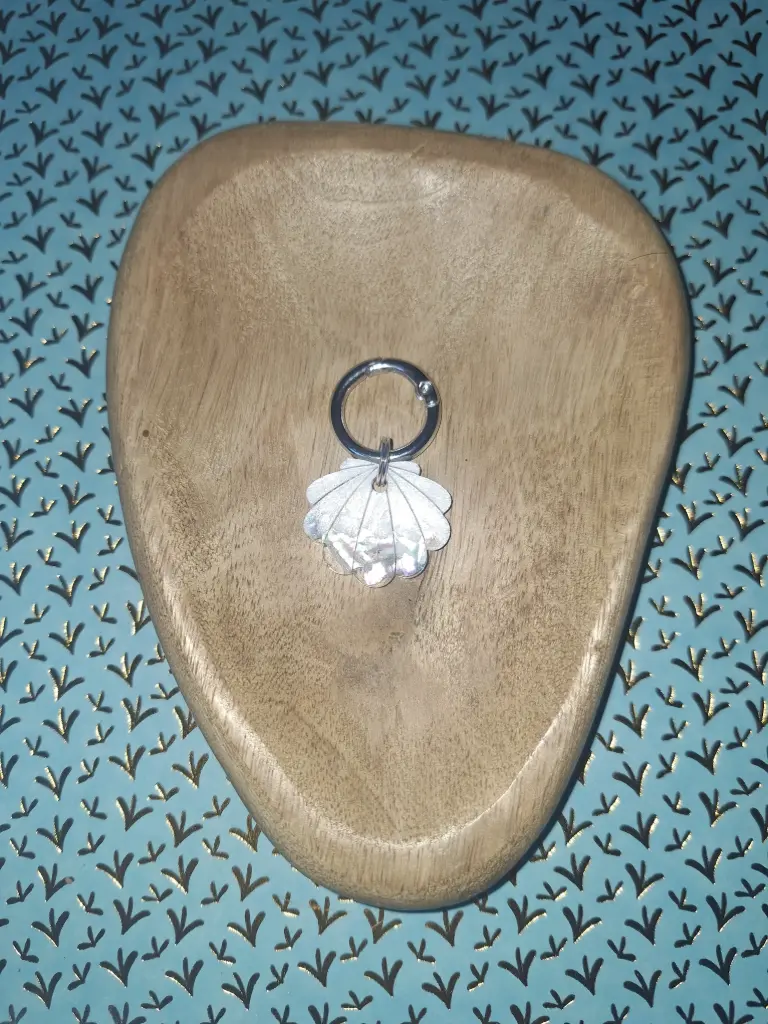 Petit Coquillage Nacré🐚🤍