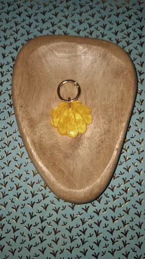 Coquillage Doré🐚💛
