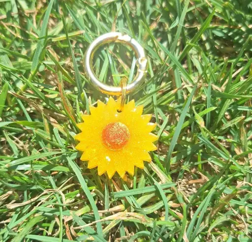 Petit Tournesol🌻