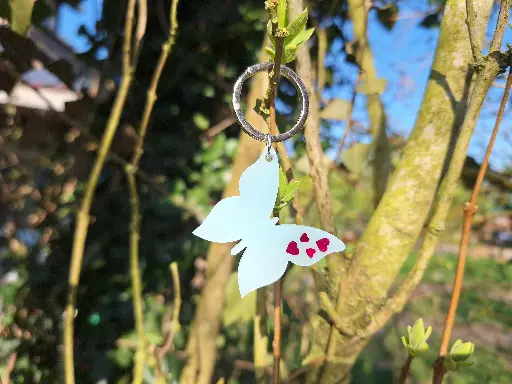 Médaille Papillon