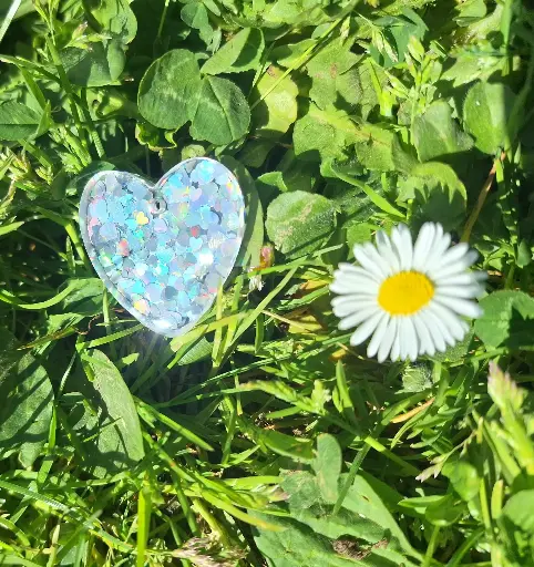 Coeur argenté